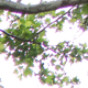 Image for article titled Leica T Review: A Camera Should Not Be a Luxury Object